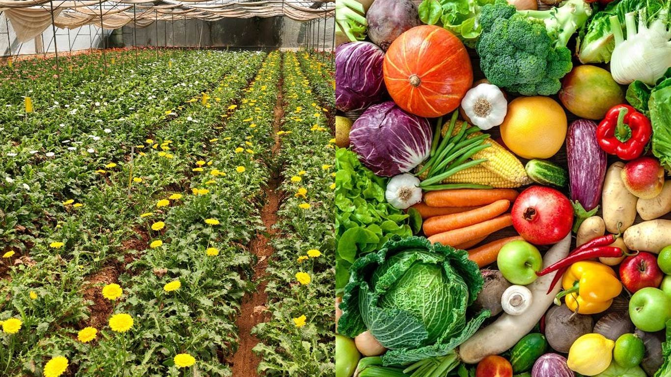 Agriculturist